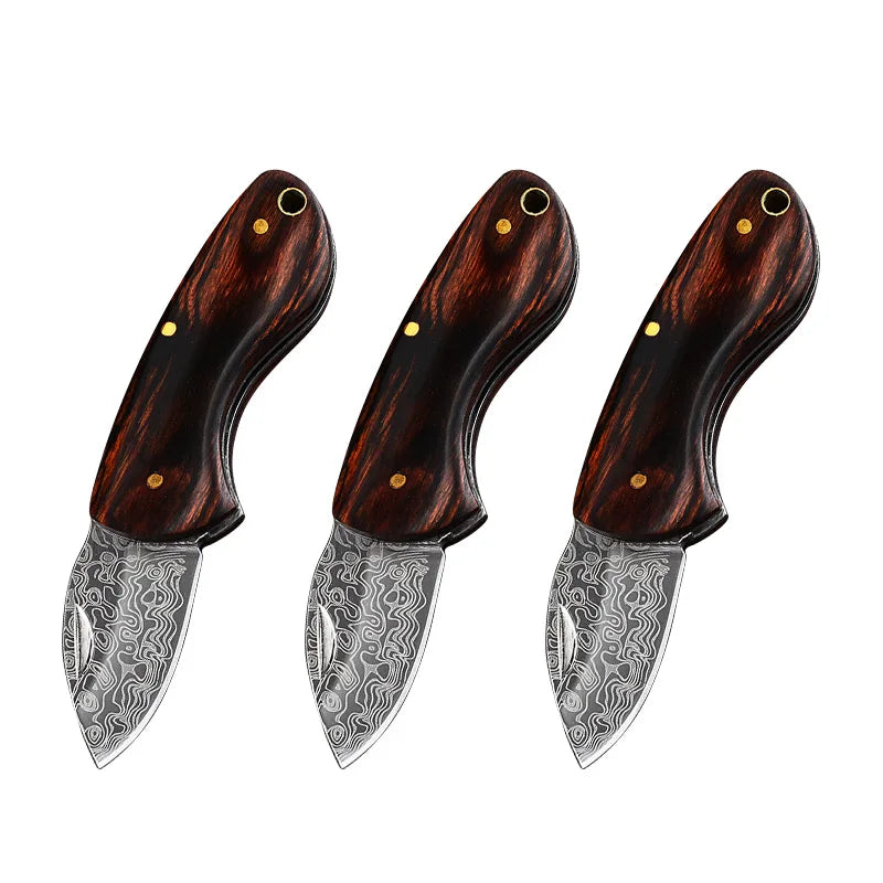 S054250b5f3cc42939d75c79ccd38de9cn